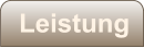 Leistung